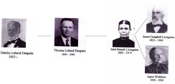 Donley Despain Picture Family Tree